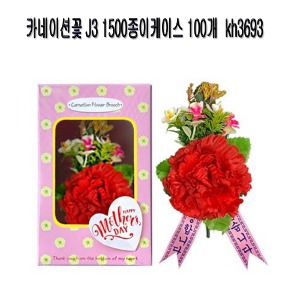 카네이션꽃 J3 1500종이케이스 100개 kh3693